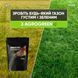 Добриво від пожовтіння газону AgroGreen 1кг 1212 фото 2