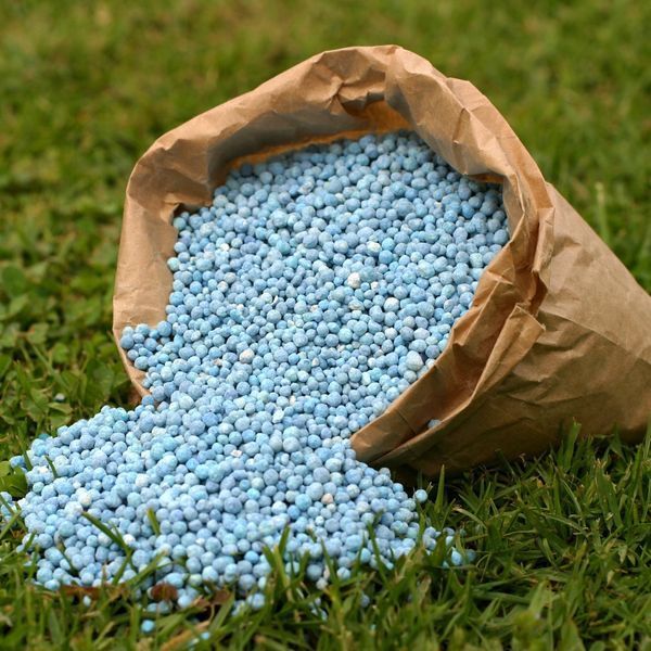 Добриво для газону "Універсал" GrassNature гранули 1кг 1250 фото
