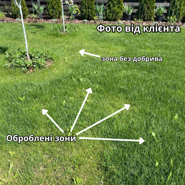 Добриво для газону Весна-Літо AgroGreen - для всіх типів газону 1кг 1210 фото